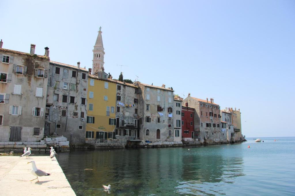 Casa Svalba Apartment Rovinj Exterior photo